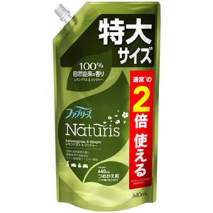 （まとめ） P＆Gファブリーズ ナチュリス レモングラス＆ジンジャー つめかえ用 特大 640ml 1個 【×2セット】