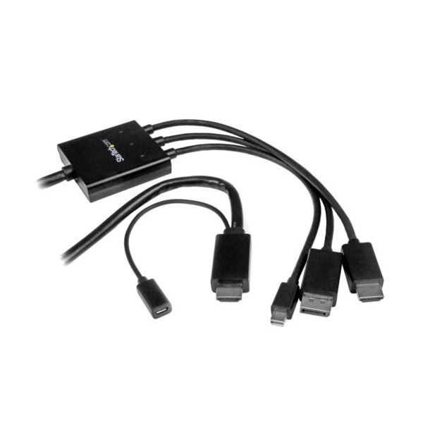 StarTech.com HDMI／DisplayPort／Mini DisplayPort-HDMI変換ケーブル 2m ブラックDPMDPHD2HD 1本