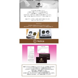 PRIMA CLASSE(プリマクラッセ) PST6-3123 上質レザーがポイント2Wayハンドバッグ (グレイ) PRIMA CLASSE(プリマクラッセ) PST6-3123 上質レザーがポイント2Wayハンドバッグ (グレイ)