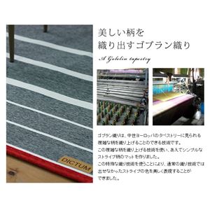 シェニールゴブラン織り ストライプ ラグ (AX500C) 100×140cm シルバーグレー 商品写真3