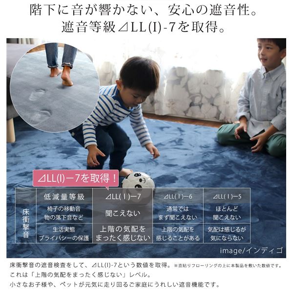 ä½åçºé«åçºãã©ã³ãã«ã©ã° ï¼LM101ï¼ 190Ã240cm ãã¹ã¿ã¼ãã¤ã¨ãã¼