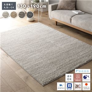 ミックスパイル ラグ 約130×190cm アイボリー 洗える 日本製 国産 軽量 防ダニ アレルブロック 遊び毛防止 オールシーズン