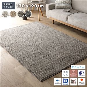 ミックスパイル ラグ 約130×190cm グレージュ 洗える 日本製 国産 軽量 防ダニ アレルブロック 遊び毛防止 オールシーズン