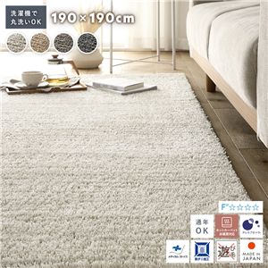 ミックスパイル ラグ 約190×190cm アイボリー 洗える 日本製 国産 軽量 防ダニ アレルブロック 遊び毛防止 オールシーズン