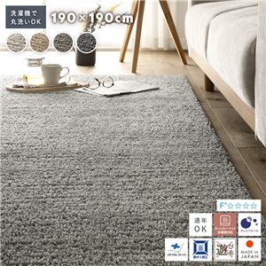 ミックスパイル ラグ 約190×190cm フォググレー 洗える 日本製 国産 軽量 防ダニ アレルブロック 遊び毛防止 オールシーズン