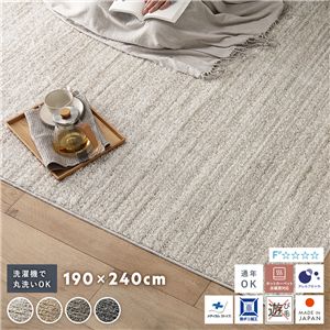 ミックスパイル ラグ 約190×240cm アイボリー 洗える 日本製 国産 軽量 防ダニ アレルブロック 遊び毛防止 オールシーズン