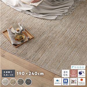 ミックスパイル ラグ 約190×240cm ベージュ 洗える 日本製 国産 軽量 防ダニ アレルブロック 遊び毛防止 オールシーズン