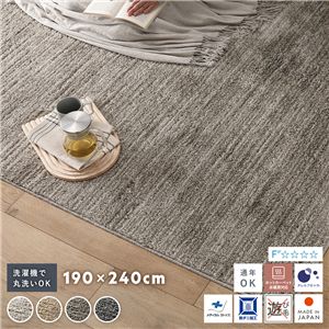 ミックスパイル ラグ 約190×240cm グレージュ 洗える 日本製 国産 軽量 防ダニ アレルブロック 遊び毛防止 オールシーズン
