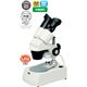充電式双眼実体顕微鏡 - 縮小画像1