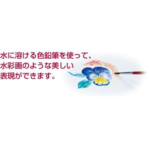 (まとめ)アーテック 水彩画フレーム 8切 【×5セット】 商品写真3