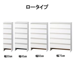 薄型 ランドリー収納庫 幅45cm ロータイプ 収納家具 スリム ランドリーチェスト ランドリー収納 洗面所収納 組立品