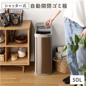 ゴミ箱 ダストボックス 約幅25cm 50L シャッター開き 自動開閉センサー付き プラスチック ステンレス 単三電池4本 完成品
