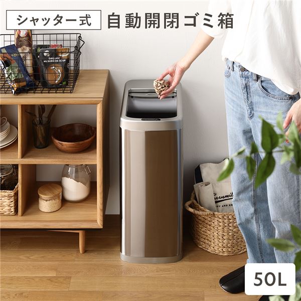 ダストボックス ゴミ箱 約幅25cm シャッター式 50L自動開閉 プラスチック ステンレス ROCO ロコ 完成品 ダイニング キッチン【代引不可】