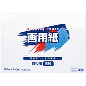（まとめ）エヒメ紙工 白画用紙 四ツ切380×540mm EG4-5P 1冊（ 5枚）【×20セット】