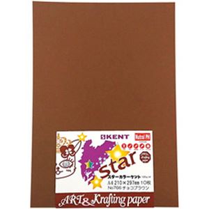 （まとめ）エスケント 色画用紙 A4 チョコブラウン 【×20セット】