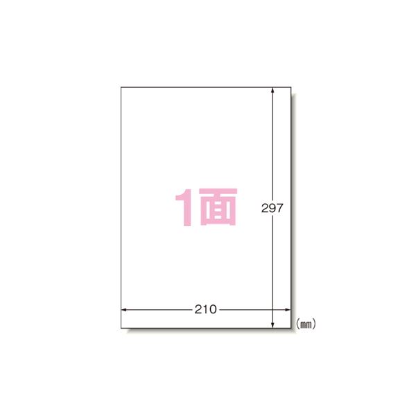 エーワン PPC（コピー）ラベル 500枚入 28762 500枚