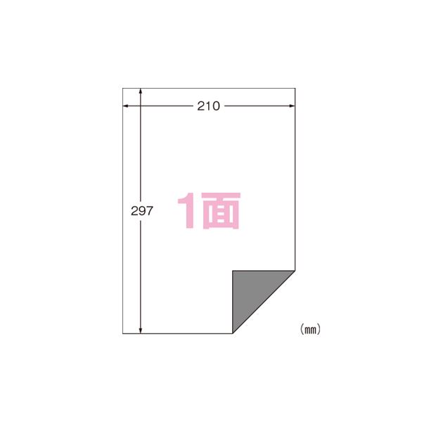 エーワン ラベルシール〈プリンタ兼用〉下地がかくせる修正タイプ マット紙（A4判） 100枚入 31282 100枚