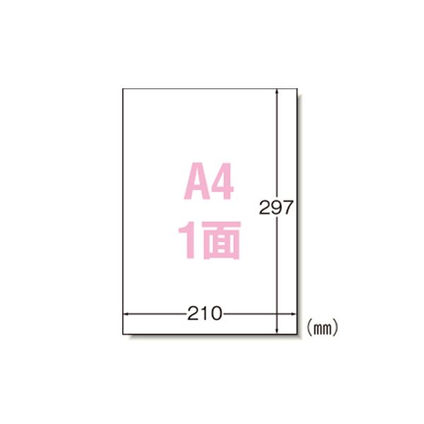 エーワン ラベルシール〈プリンタ兼用〉 マット紙 ノーカットタイプ 31151 1000枚