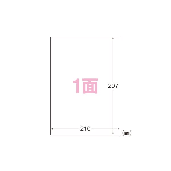 （まとめ） エーワン 屋外でも使えるサインラベルシール 光沢フィルム・透明 31032 透明 10枚入 【×2セット】