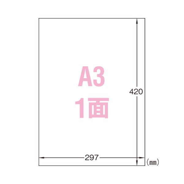 （まとめ） エーワン 屋外でも使えるサインラベルシール ツヤ消しフィルム・ホワイト 31033 5枚入 【×2セット】