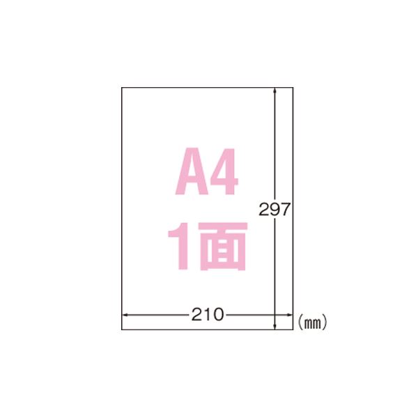 （まとめ） エーワン 屋外でも使えるサインラベルシール ツヤ消しフィルム・透明 31036 10枚入 【×2セット】