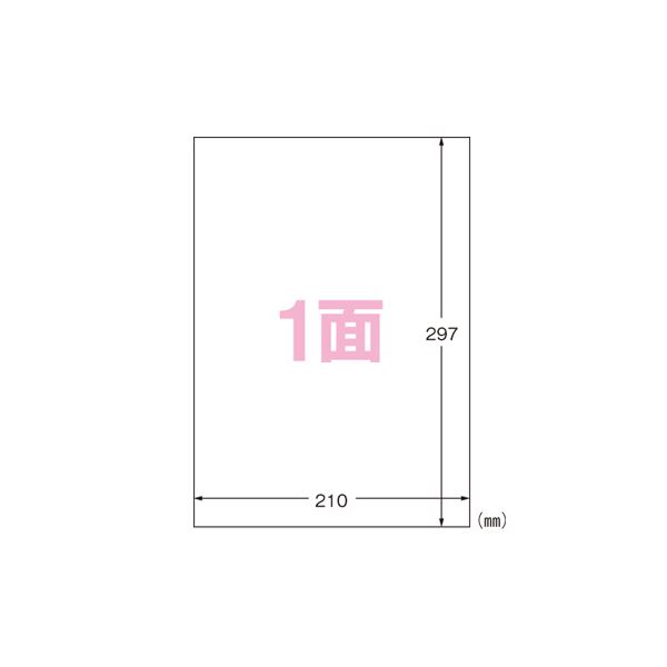 （まとめ） エーワン フィルムラベルシール A4判 ツヤ消しフィルム・透明／光沢フィルム・ホワイト 28795 10枚入 【×2セット】