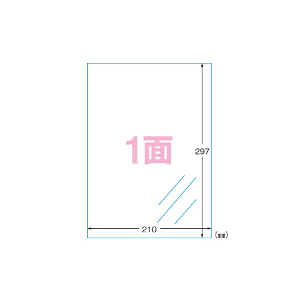 （まとめ） エーワン フィルムラベルシール A4判 光沢フィルム・透明 28791 10枚入 【×2セット】