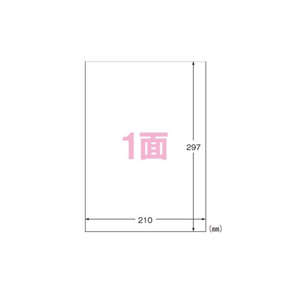 （まとめ） エーワン フィルムラベルシール A4判 水に強いタイプ 光沢フィルム・ホワイト 29281 5枚入 【×3セット】