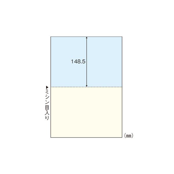 （まとめ） ヒサゴ マルチプリンタ帳票 A4判2面 カラータイプ BP2010 100枚入 【×2セット】