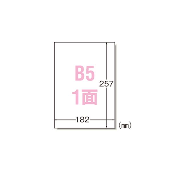 （まとめ） エーワン ラベルシール〈プリンタ兼用〉 マット紙 ノーカットタイプ 28421 100枚入 【×2セット】