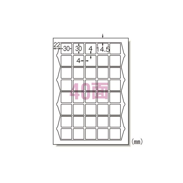 （まとめ） エーワン ラベルシール〈プリンタ兼用〉ハイグレードタイプ マット紙（A4判） 75240 20枚入 【×2セット】