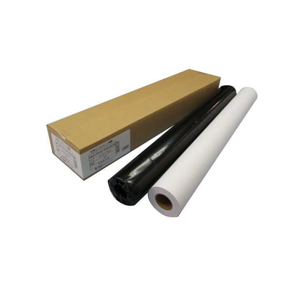 アジア原紙 大判インクジェット用紙 普通紙 80g 841×50 2本入 IJPR-8450E（80）N