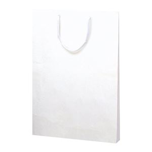 （まとめ） ササガワ 手提げ 額縁用 B4 10枚入【×5セット】