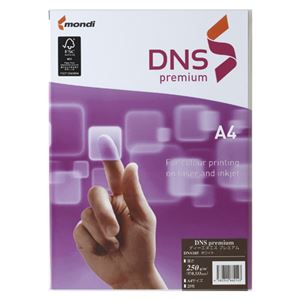 （まとめ） 伊東屋 DNS プレミアム A4 250g ホワイト 25枚【×20セット】