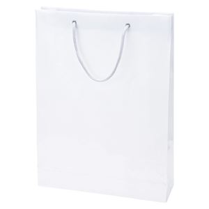 （まとめ） シモジマ デラックスチャームバッグ S2 白無地【×50セット】