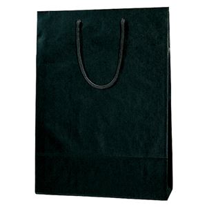 （まとめ） シモジマ カラーチャームバッグ 2才 黒 10枚入【×5セット】