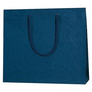 （まとめ） シモジマ カラーチャームバッグ 3才 紺 10枚入【×5セット】