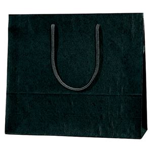 （まとめ） シモジマ カラーチャームバッグ 3才 黒 10枚入【×5セット】