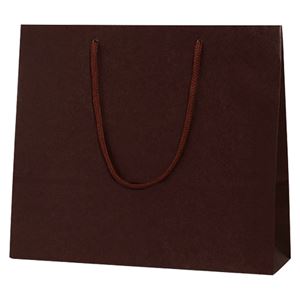 （まとめ） シモジマ カラーチャームバッグ 3才 ブラウン 10枚入【×5セット】