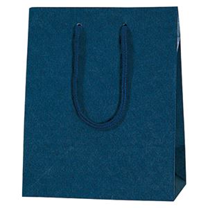 （まとめ） シモジマ カラーチャームバッグ 20-12 紺 10枚入【×5セット】