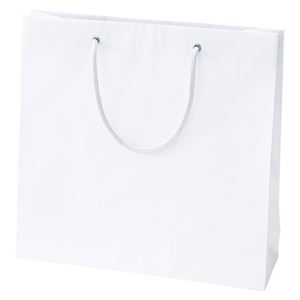 （まとめ） シモジマ デラックスチャームバッグ SM 白無地【×50セット】