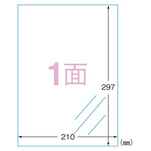 （まとめ） エーワン IJ超耐水ラベルシール 光沢フィルム 透明 A4 1面 3枚入 【×5セット】