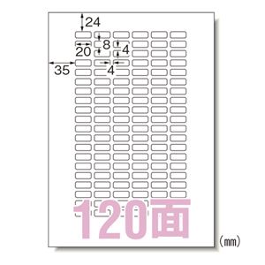 （まとめ） エーワン マルチプリンタラベル 再剥離 A4 120面 10入【×20セット】