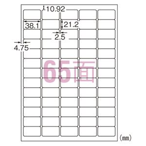 （まとめ） エーワン IJ超耐水ラベルシール マット紙 A4 65面 20枚入 【×5セット】