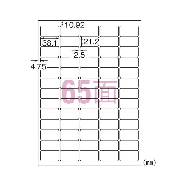 （まとめ） エーワン IJ超耐水ラベルシール マット紙 A4 65面 20枚入 【×5セット】