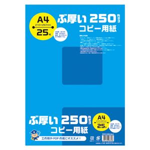 (まとめ) キョクトウ・アソシエイツ ぶ厚いコピー用紙 A4 250gsm 【×10セット】