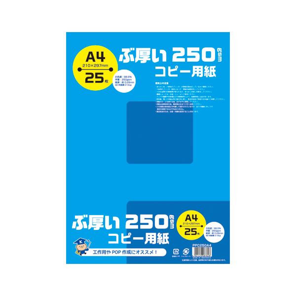 （まとめ） キョクトウ・アソシエイツ ぶ厚いコピー用紙 A4 250gsm 【×10セット】