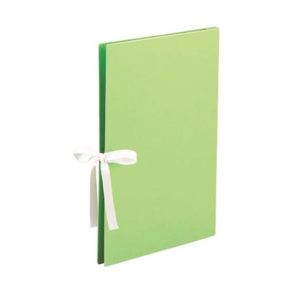 （まとめ） 美濃商会 カラーエィナーファイルEX A4R-EX ウグイス 【×5セット】