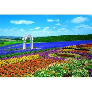 エポック社 300P 花の咲く丘-富良野 【ジグソーパズル】 商品写真