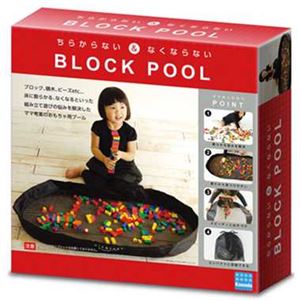 カワダ CDPM-003 ブロックプール 【知育玩具】 商品写真